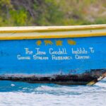 Boat of the Jane Goodall Institute in Gombe