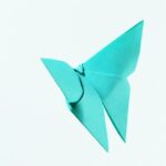 art-asian-butterfly-color-114977