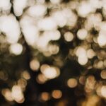 abstract-art-background-blur-564908