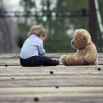 wood-bridge-cute-sitting-39369
