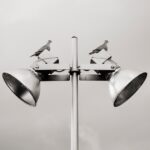 two-pigeon-perched-on-white-track-light-681447