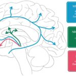Figure1