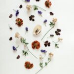 pexels-diana-akhmetianova-4721994